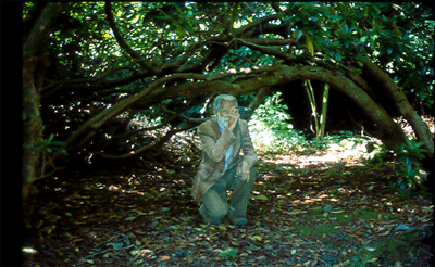 brian, life-sized cut-out figure oil painting in situ Grizedale